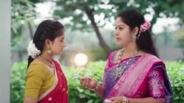 Paape Maa Jeevana Jyothi S01 E741 Seenu Has Doubts