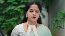 Paape Maa Jeevana Jyothi S01 E742 A Stunner for Padma