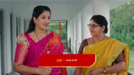 Paape Maa Jeevana Jyothi S01 E751 Seenu Demands Answers