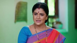 Padamati Sandhyaragam S01 E301 4th September 2023