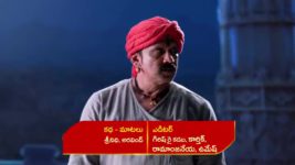 Renuka Yellamma (Star Maa) S01 E155 Renu Maharaj On Cloud Nine