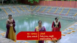 Renuka Yellamma (Star Maa) S01 E163 Saugandhika Has a Plan