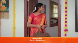 Karthigai Deepam S01 E228 1st September 2023