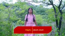 Renuka Yellamma (Star Maa) S01 E144 Subramanya's Advice to Yellamma