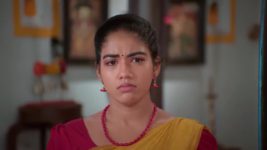 Anna (Tamil) S01 E137 23rd October 2023