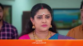 Karthigai Deepam S01 E255 3rd October 2023