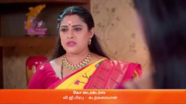 Karthigai Deepam S01 E257 5th October 2023