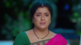 Malli Nindu Jabili S01 E476 Kousalya Appreciates Gowtham