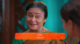 Nala Damayanthi S01 E11 20th October 2023