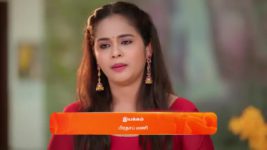 Nala Damayanthi S01 E19 30th October 2023