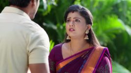 Radhaku Neevera Praanam S01 E144 7th October 2023