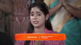 Seetha Ramam S01 E205 1st November 2023