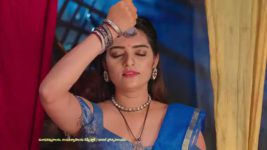 Naga Panchami (Star Maa) S01 E174 Nambudri's Evil Trial