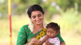 Pandian Stores S01 E1067 Dhanam's New Idea