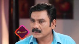 Pandian Stores S01E114 Shwetha Visits Meena Full Episode