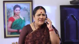 Pandian Stores S01E149 Lakshmi Rebukes Meena Full Episode