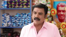 Pandian Stores S01E162 Kathir's Concern for Mulla Full Episode