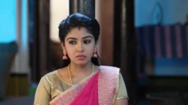 Pandian Stores S01E177 Kannan Gets a Firing Full Episode