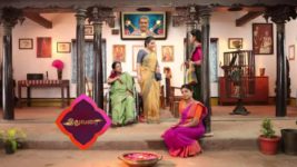 Pandian Stores S01E215 Meena Shares Her Grief Full Episode