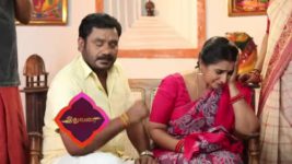 Pandian Stores S01E224 Mulla Lashes Out Full Episode