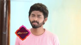 Pandian Stores S01E230 Dhanam, Moorthy Feel Overwhelmed Full Episode