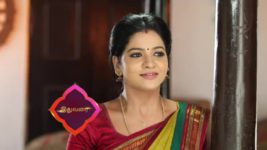 Pandian Stores S01E231 Dhanam Loses Her Cool Full Episode