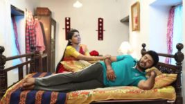 Pandian Stores S01E233 Mulla Takes Care of Kathir Full Episode