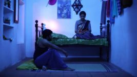 Pandian Stores S01E246 Jeeva, Meena's Argument Full Episode