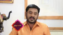 Pandian Stores S01E255 Meena, Jeeva's Banter Full Episode