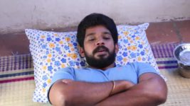 Pandian Stores S01E258 Mulla Vents Her Grief Full Episode