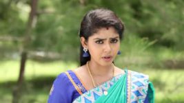 Pandian Stores S01E263 Moorthy's Fury Full Episode