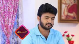 Pandian Stores S01E265 Mulla Catches Meena Full Episode