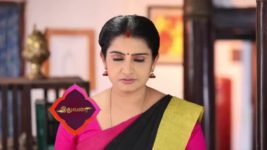 Pandian Stores S01E269 Jeeva Seeks Forgiveness Full Episode