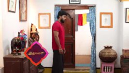 Pandian Stores S01E275 Kathir's Concern for Mulla Full Episode