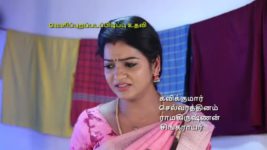 Pandian Stores S01E279 Meena, Jeeva's Happy Times Full Episode