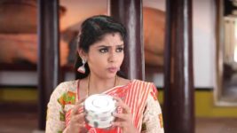 Pandian Stores S01E290 Meena Gets Irritated Full Episode