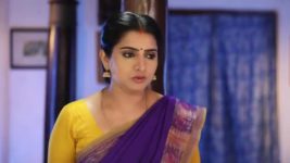 Pandian Stores S01E307 Kannan Backs Dhanam Full Episode