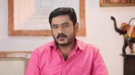 Pandian Stores S01E312 Mulla Gets Worried Full Episode