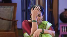 Pandian Stores S01E322 Jeeva Gets Worried Full Episode