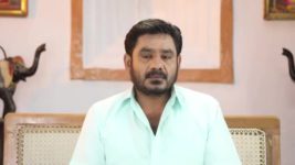 Pandian Stores S01E342 Mulla Is Overjoyed Full Episode