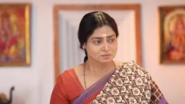 Pandian Stores S01E343 Dhanam Breaks Down Full Episode