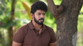 Pandian Stores S01E347 Janardhan Tends to Meena Full Episode