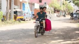 Pandian Stores S01E353 Jeeva Leaves Janardhan's House Full Episode