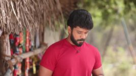 Pandian Stores S01E366 Dhanam Worries for Mulla, Kathir Full Episode