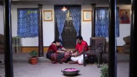 Pandian Stores S01E381 Murugan, Parvathy on Cloud Nine Full Episode