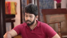 Pandian Stores S01E390 The Brothers Manage the Chores Full Episode