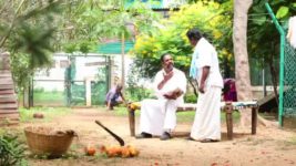 Pandian Stores S01E401 Janardhan Is Worked Up Full Episode