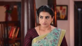 Pandian Stores S01E416 Mulla Urges Moorthy Full Episode