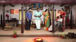 Pandian Stores S01E448 Janardhan Takes Meena Home Full Episode