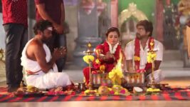 Pandian Stores S01E452 Kamakshi Creates a Scene Full Episode